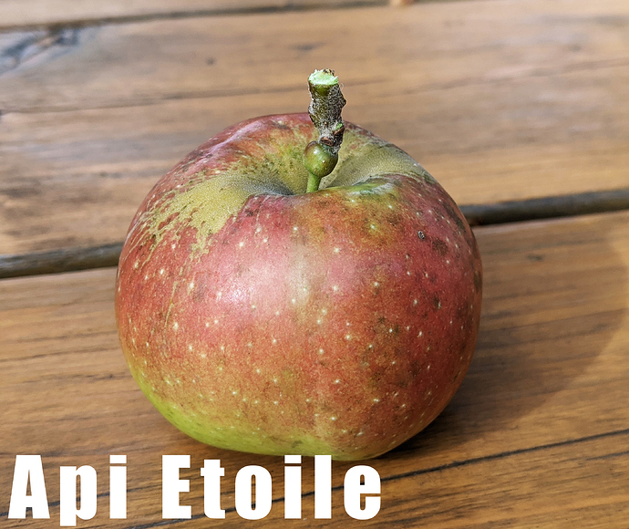 Api%20Etoile