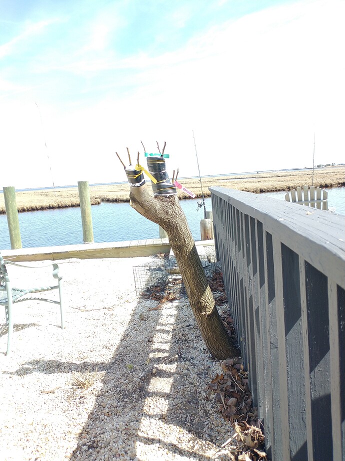 IMG_20220402_141309177