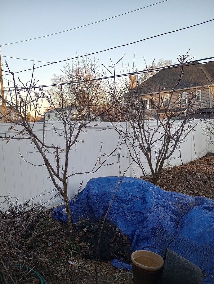 IMG_20230321_073051840_HDR