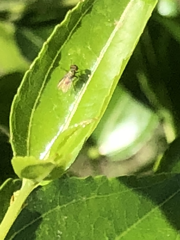 15542A4C-1CE6-49E6-97A7-E6AD832C4307