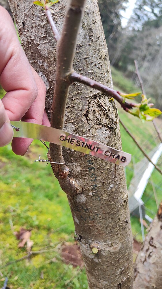 IMG_20250402_135726263