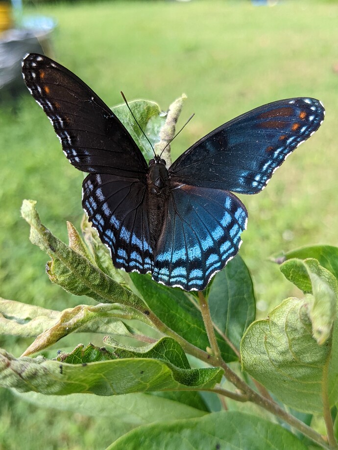 PXL_20220812_143012441.PORTRAIT