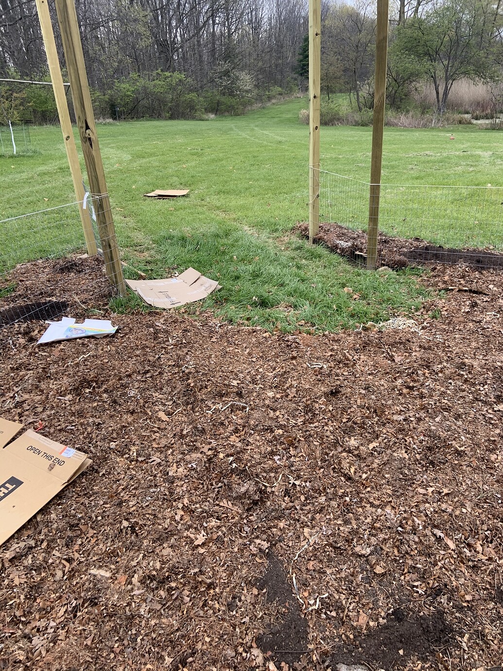 Rolls of cardboard under mulch to kill grass General Fruit Growing