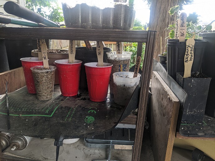 PXL_20220617_001428759