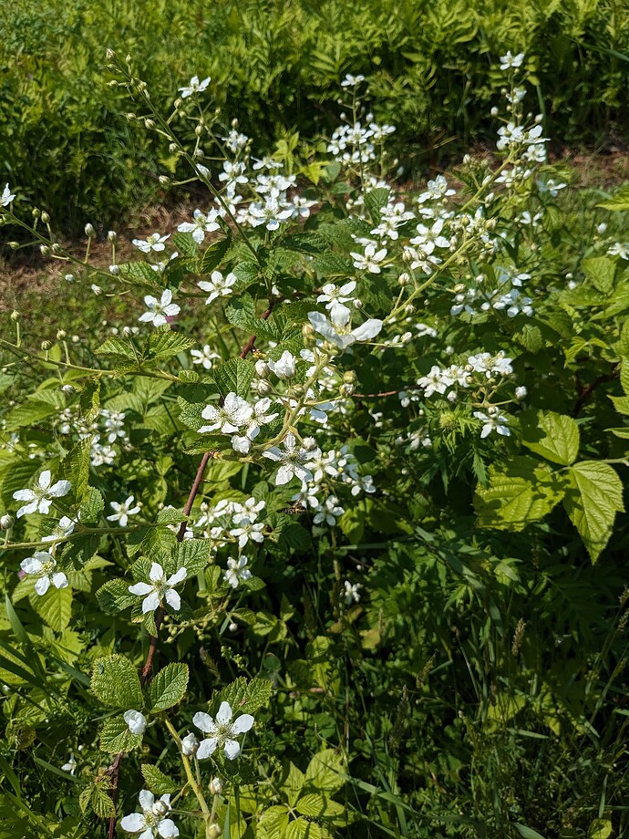 PXL_20230611_151826079