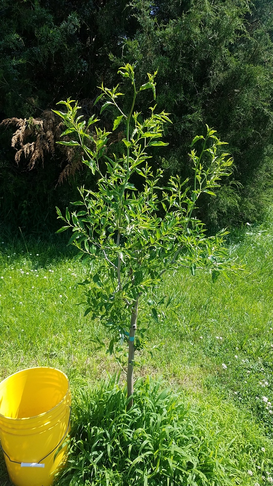 20180524_144216_resized