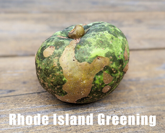 rhode island greening