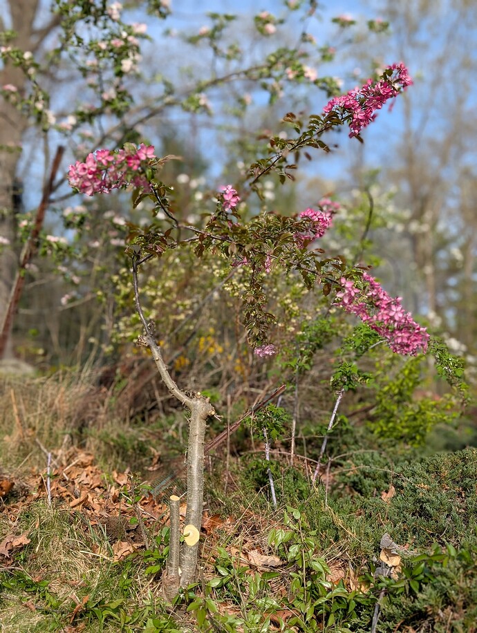 PXL_20250429_210109218.PORTRAIT