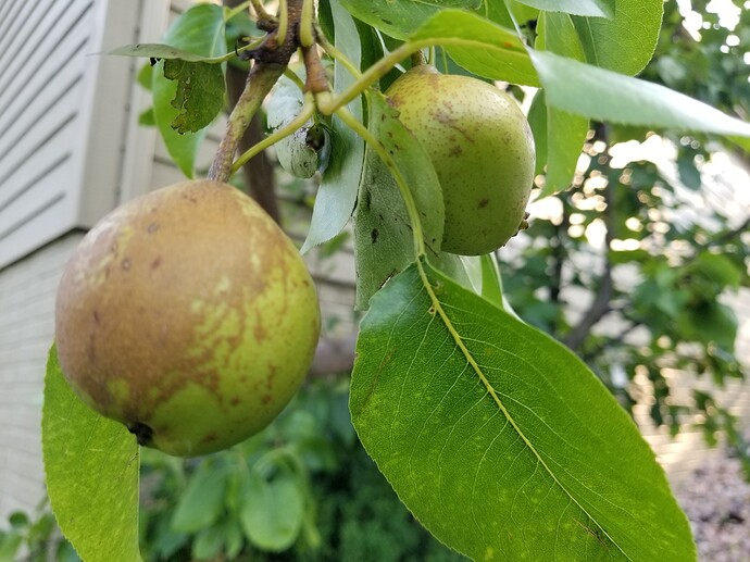 16264797881441401417000597934748