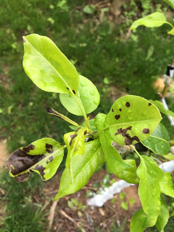 B5BF2419-C048-449A-8EB5-E35859E670B3