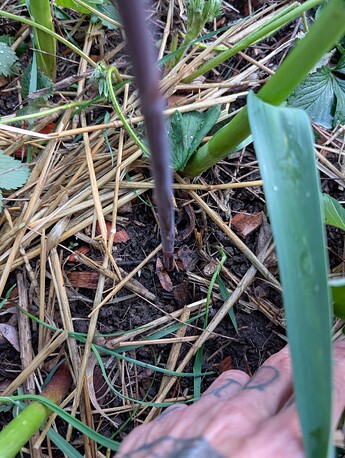 PXL_20250520_031732897