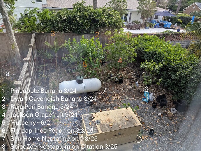 PXL_20250406_141203197