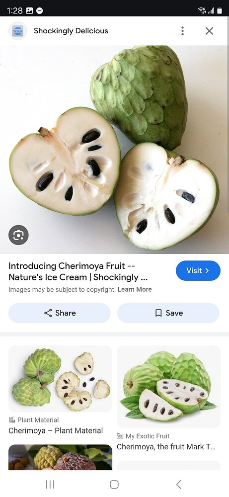 Screenshot_20241128_012802_Chrome