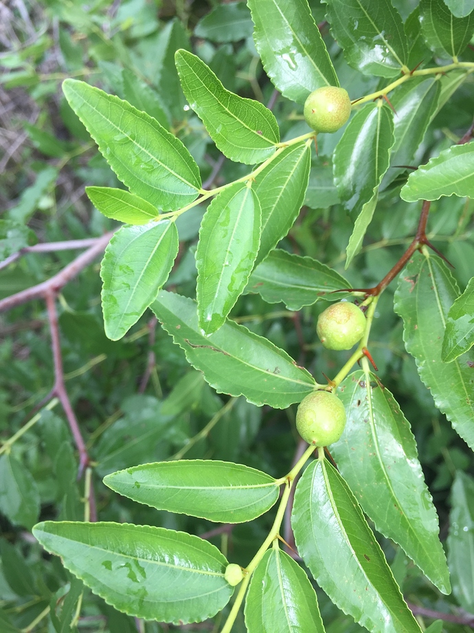 D45F0B81-0F03-4D3D-A61B-8854E5BCAF37