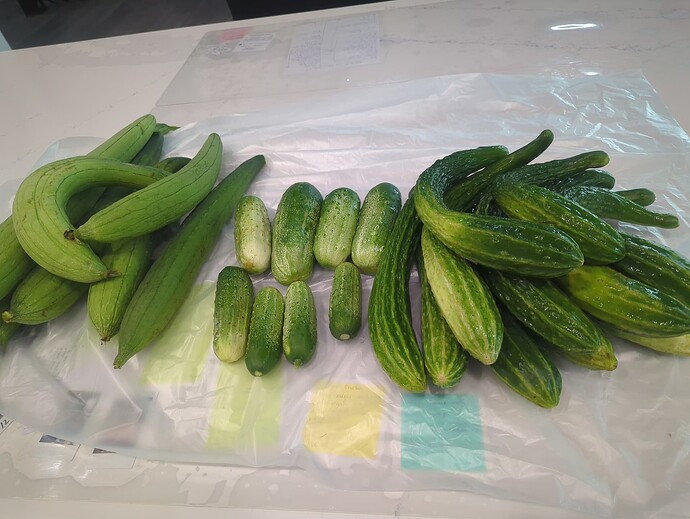 17548520386402779104158624814307