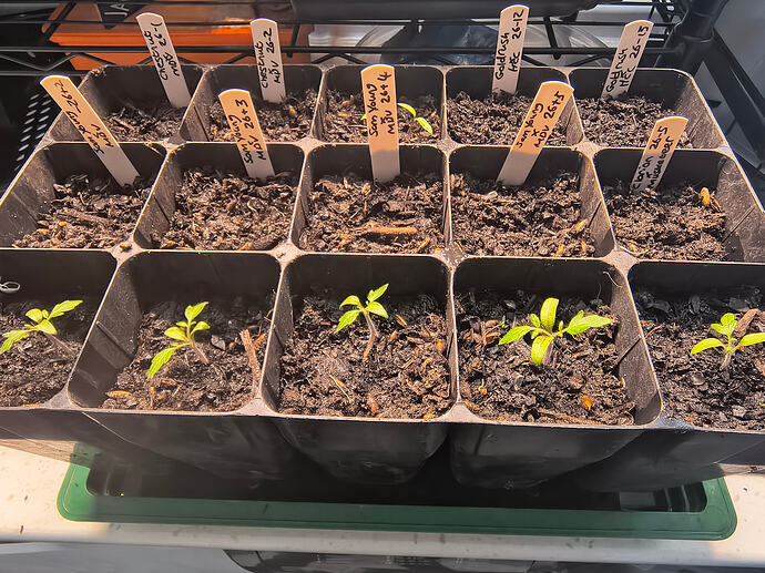 IMG_20260409_130519098_HDR