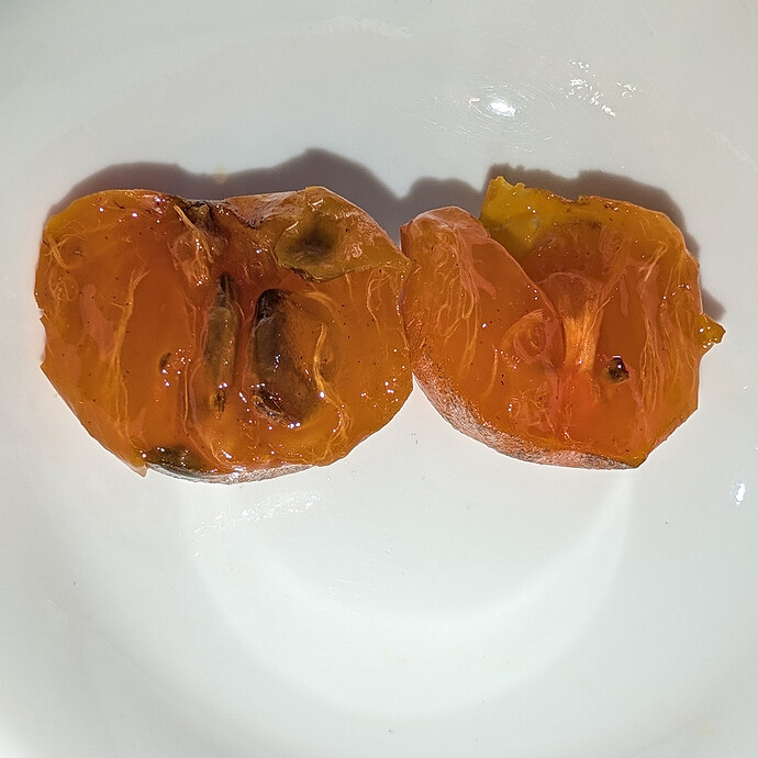 Sosnovskaya Persimmon Cut in Half - Ripened On Tree