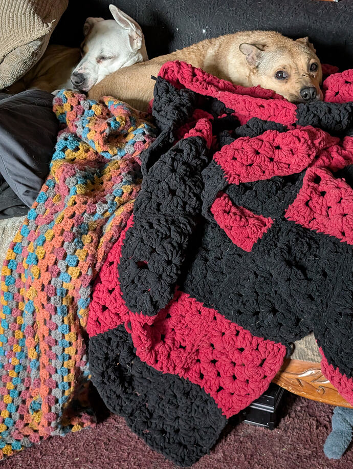 PXL_20260402_192811925