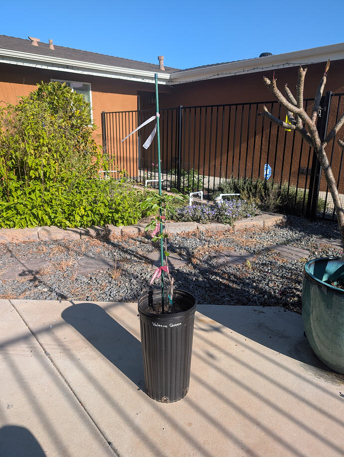 PXL_20260404_235759172