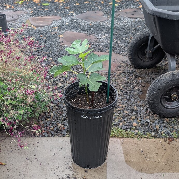 PXL_20250921_235749542