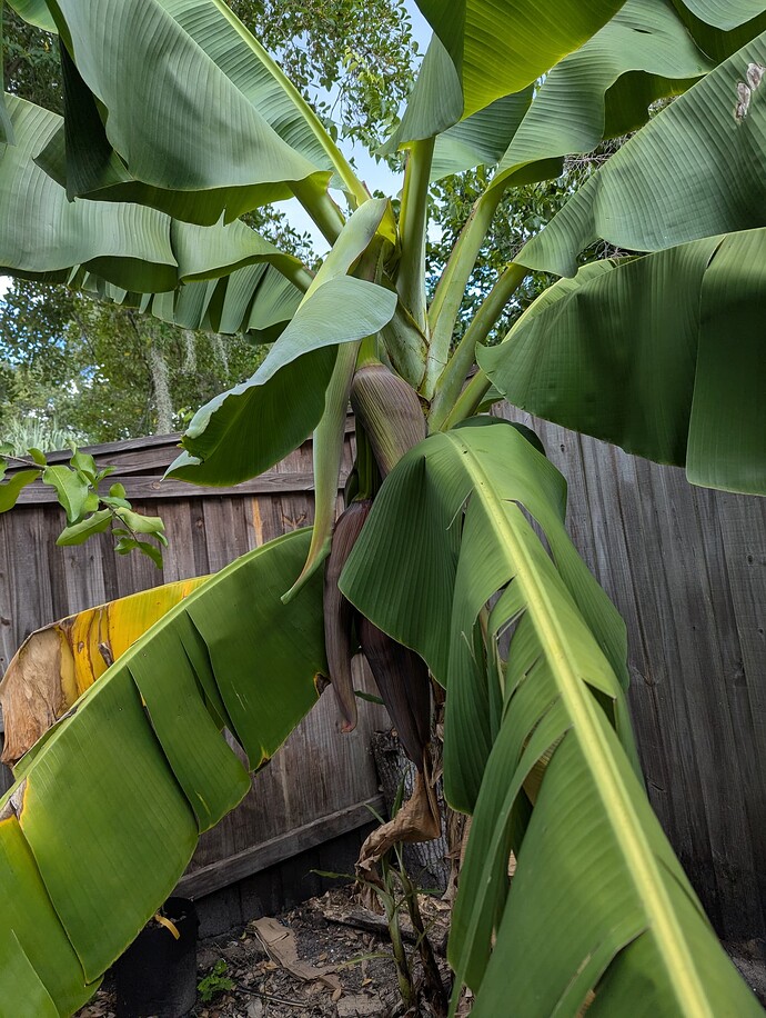 PXL_20250906_171037672