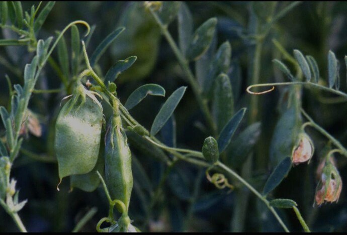 Screenshot_20251015_011308_Samsung Internet