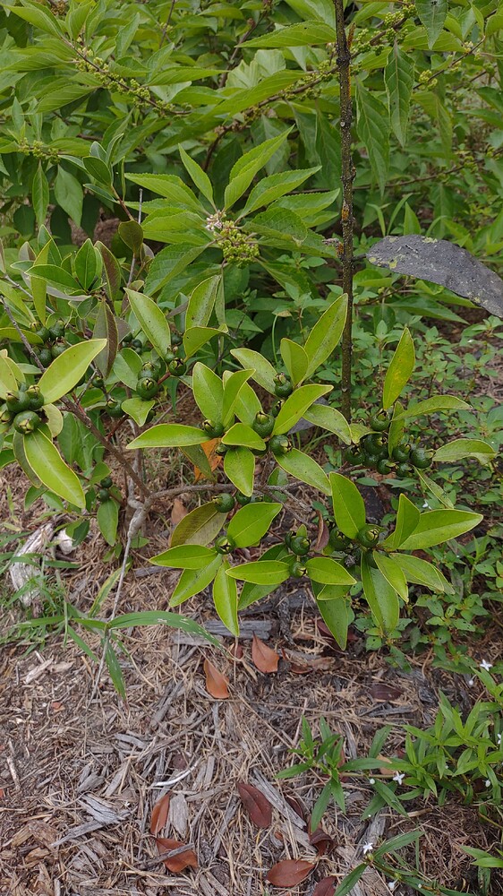 IMG_20250820_112006003