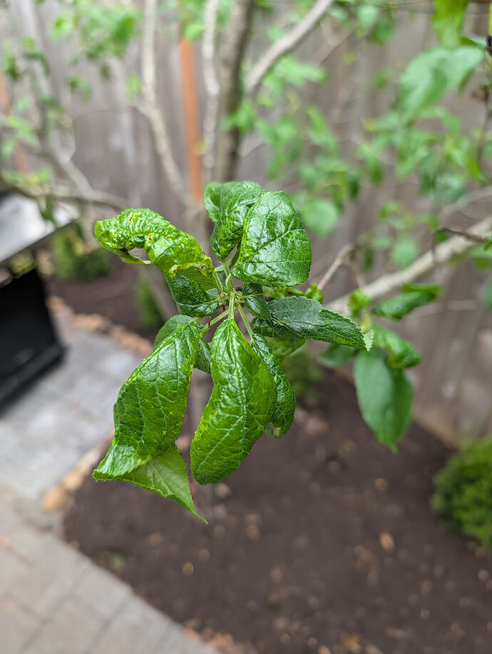 PXL_20260429_012657452