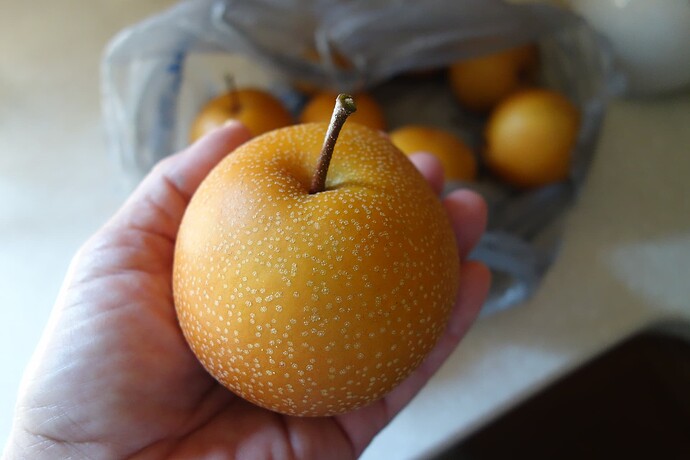 monster Raja Asian pear 9.14 (1)