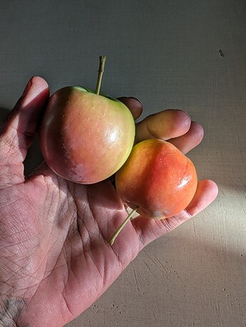 PXL_20250803_020033567