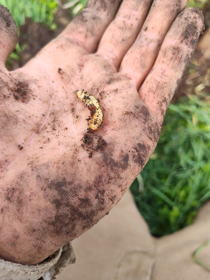 IMG_20260402_152724300