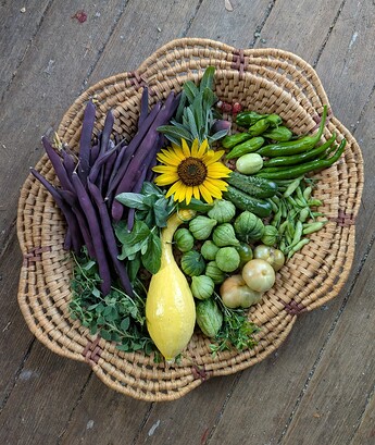 PXL_20250911_212028603