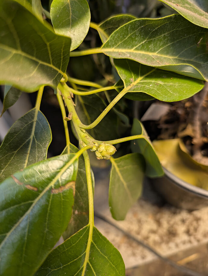 PXL_20260213_235921340