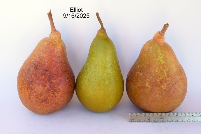 Elliot9-16-2025RS