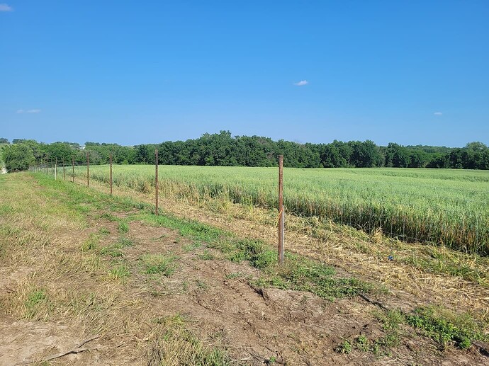 c398b270c7b1523dd64c7476aeee64b2385062b5_2_1380x1034