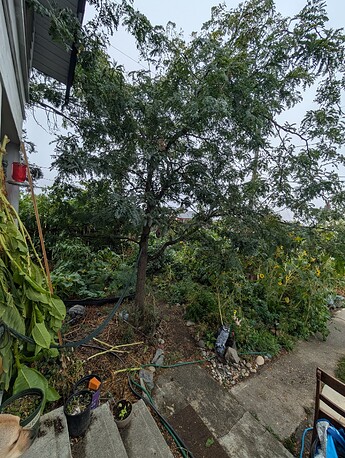 PXL_20251002_161050048