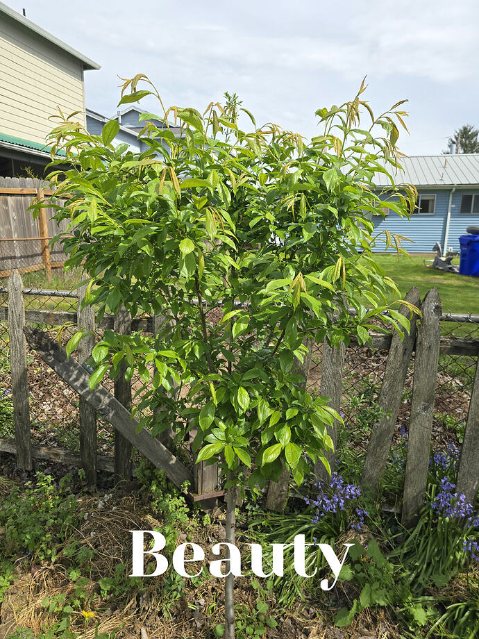 20260410_141535_edit_1775858012516