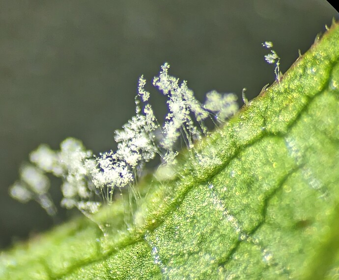 PXL_20251126_200204434