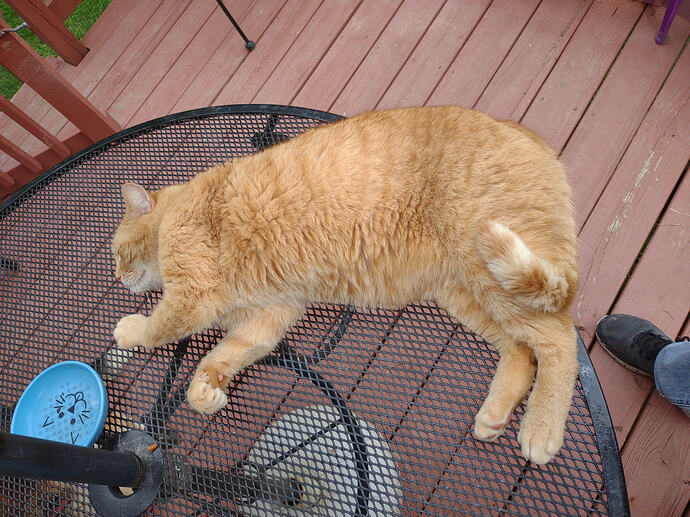 IMG_20250514_165536081