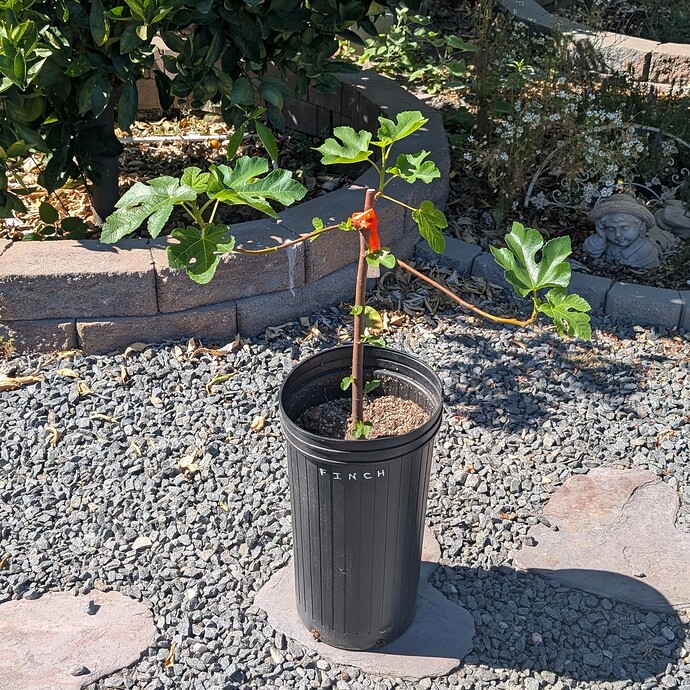 PXL_20250730_225636326