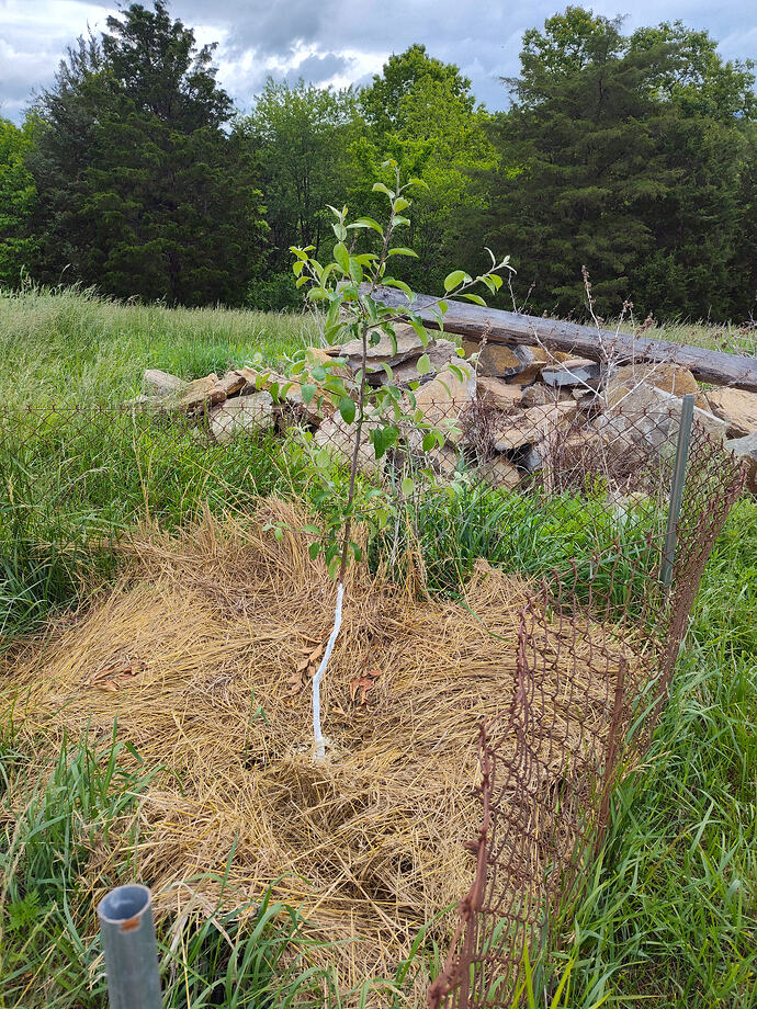 IMG_20250522_085554806_HDR