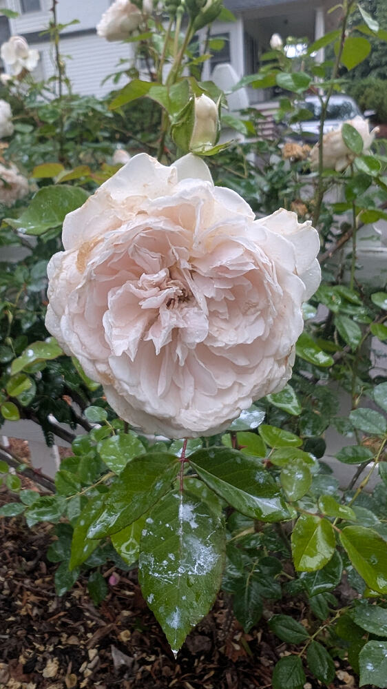 PXL_20260522_230123448