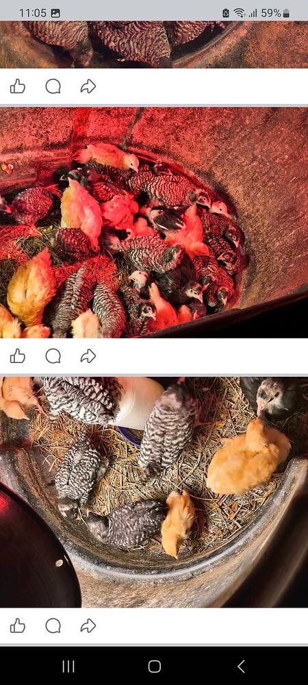 Screenshot_20260118_110538_Facebook