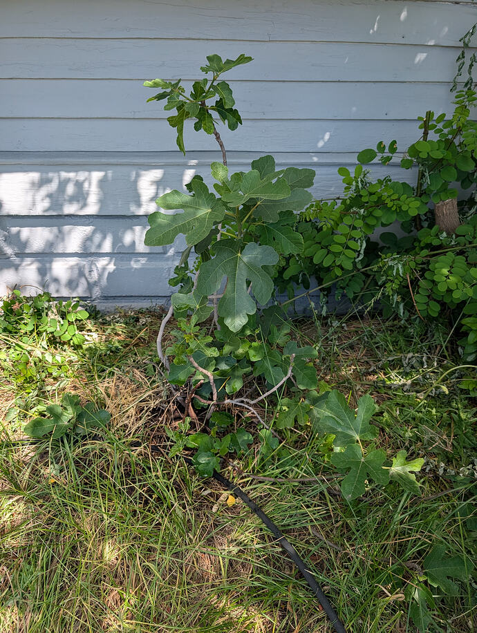 PXL_20260613_220718389