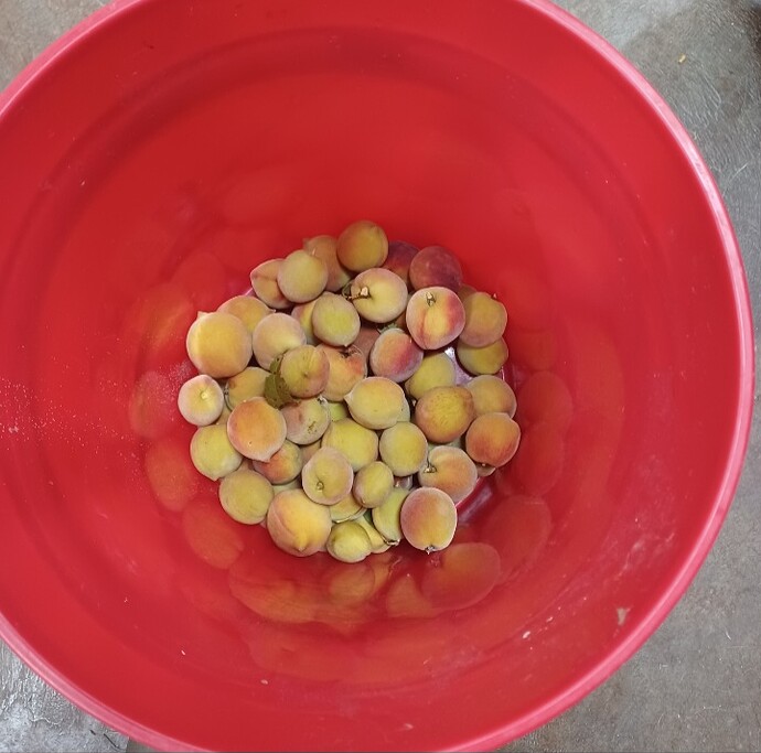 Screenshot_20250628_133929_Gallery