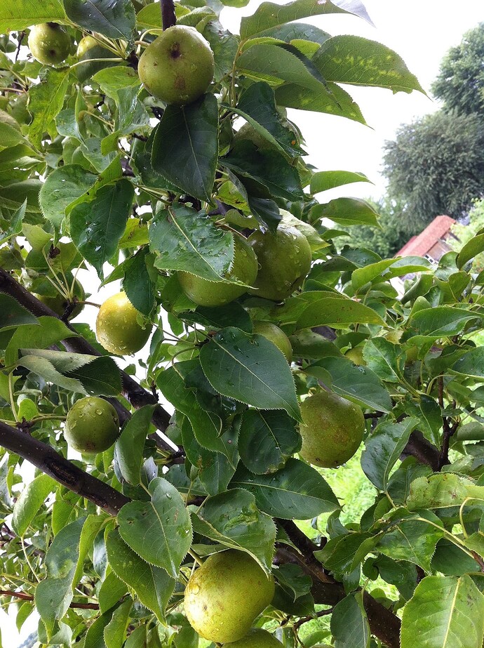 8f80fcf6fea55d4ebb597584714e015df9142da8_2_1380x1846