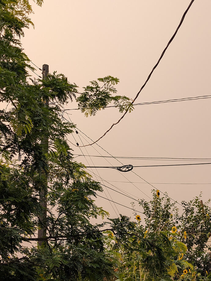PXL_20260803_003854220