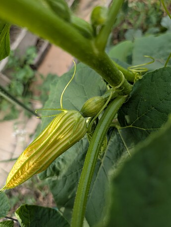 PXL_20250617_014745314