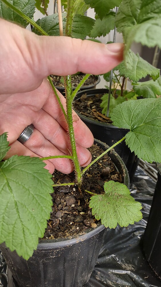 IMG_20251008_201822764_HDR