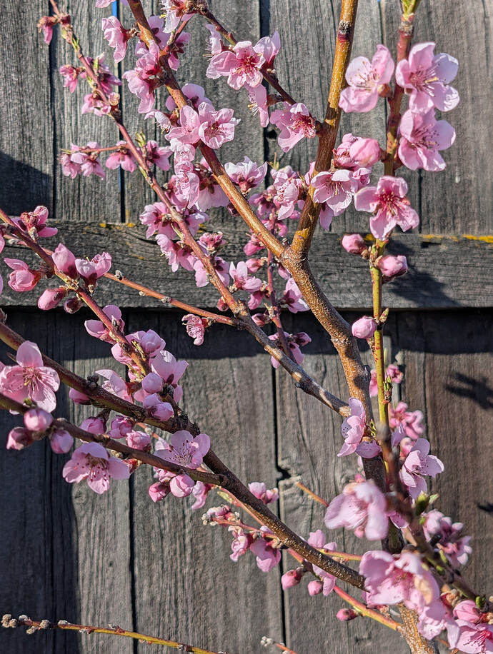 PXL_20260404_235835988